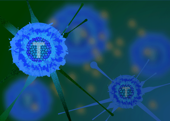 T cell 